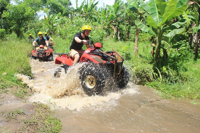 Bali Private Tour Guide And Driver - What to watch for: where this tour can feel mismatched