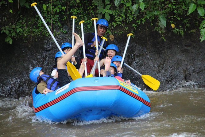 Bali Private Tour Guide And Driver - Making this private day work: a simple way to design your Bali route