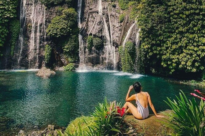 Bali Private Tour: Handara Iconic Gate, Watefall and Temple - Getting around Bali’s north: what the route feels like