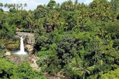 Bali Private Tour: Waterfall, Monkey forest and Tanah lot sunset - Price and logistics: what $56 buys you (and what it doesn’t)