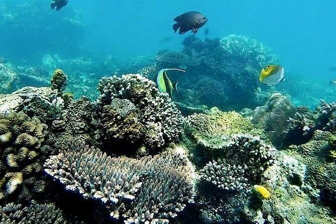 Bali Private Tour: Waterfall, Monkey forest and Tanah lot sunset - What the guide adds: more than driving from stop to stop