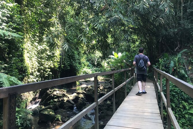 Bali Quad Adventure with Waterfall Tour - Tibumana Waterfall: the walk-in, jungle shade, and butterfly spotting