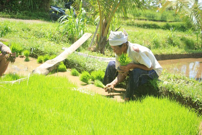 Bali Quad and Buggy Discovery Tour, Including Round-Trip Transfer - Why Small-Group Guidance Makes a Difference