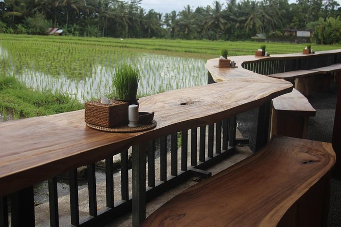 Bali Rafting Including Lunch and Transport - On the water: gear, guidance, and what you’ll see on the Ayung