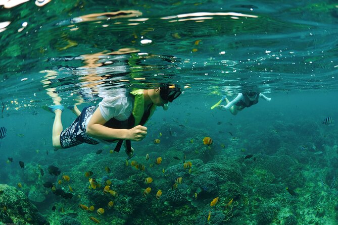 Bali Reef Cruise and Lembongan Island Day Trip - Bali’s private pontoon on Nusa Lembongan: the real heart of the trip