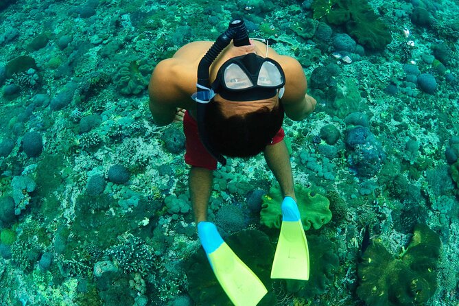 Bali Reef Cruise and Lembongan Island Day Trip - Getting there: Seminyak pickup and the Benoa Harbour start
