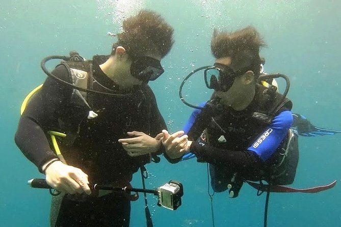 Bali Scuba Diving at Nusa Penida Manta Point For Certified Diver - Price and What It Includes: Where the $180 Goes