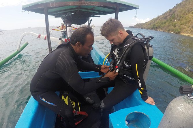 Bali Scuba Diving at Padang Bai for Certified Diver - The Underwater Plan: What the Two Dives Are Really Like