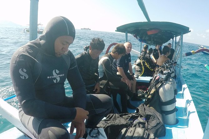 Bali Scuba Diving at Padang Bai for Certified Diver - Price and Value: Why $98.34 Can Be Fair (or Not)