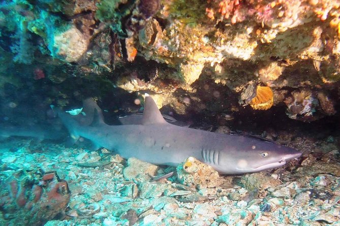 Bali Scuba Diving at Padang Bai for Certified Diver - The Office Stop: Hot Drinks and a Quick Setup