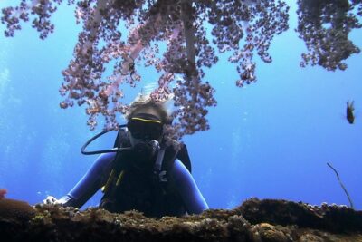 Bali Scuba Diving trip at Tulamben for Certified Diver - A clear schedule: what each time block is really doing for you