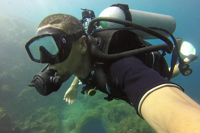 Bali Scuba Diving trip at Tulamben for Certified Diver - On the USS Liberty wreck: what you should expect to see