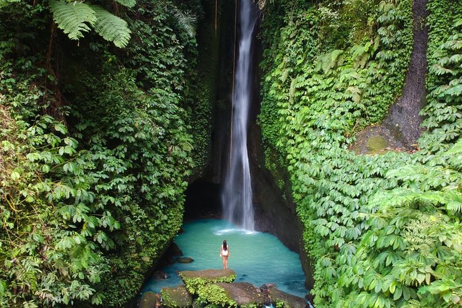 Bali Secret Waterfall Tour - Private and All-Inclusive - What the Bali Secret Waterfall Tour feels like day-to-day