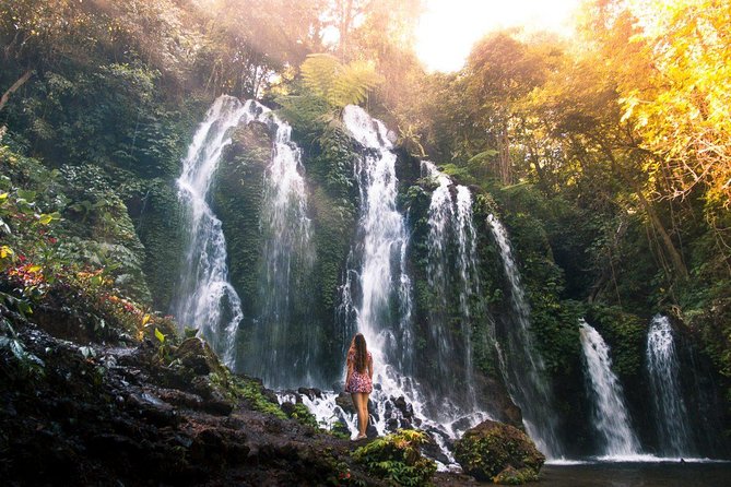 Bali Secret Waterfall Tour - Private and All-Inclusive - Price and value: what $109 gets you (and why it can be a good deal)