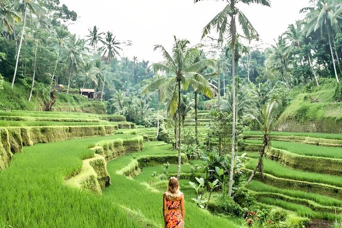 Bali Shore Excursions : Best of Bali Tour - Price and value: is $25 per person a good deal?
