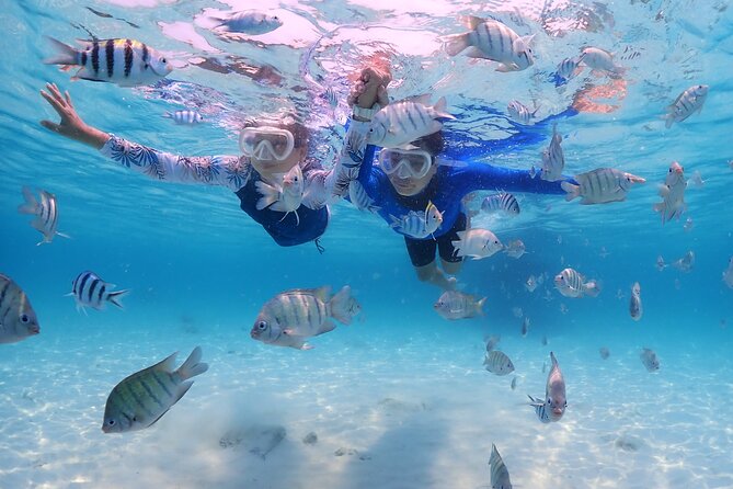 Bali Snorkeling Blue Lagoon with lunch &Optional waterfall Visit - Snorkeling at Tanjung Jepun: your first swim stop