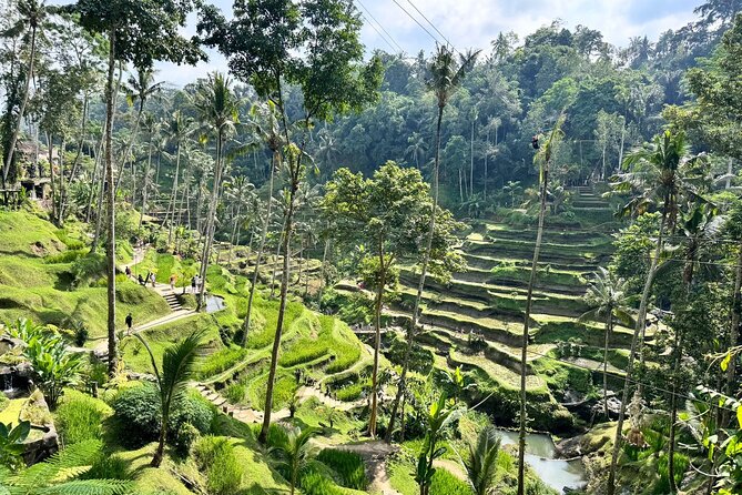 Bali Spiritual: Balinese Healing, Temple & Rice Terrace - Price and logistics: where the $60 really goes