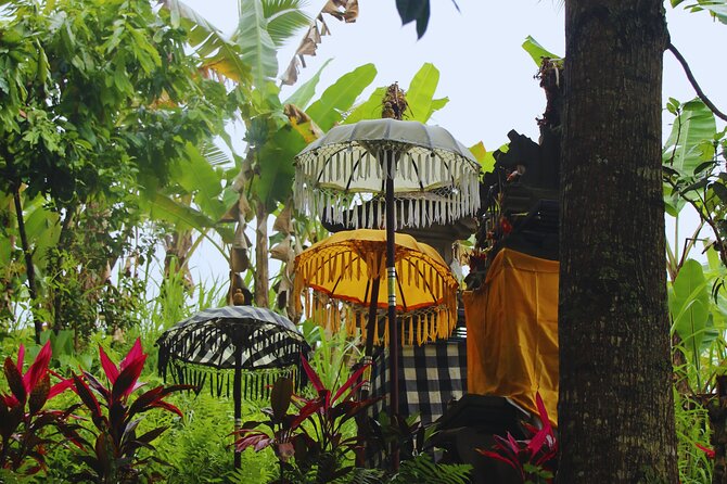 Bali Spiritual: Blessing Ceremony, Pristine Nature and Transfer - Key highlights worth marking on your mental map