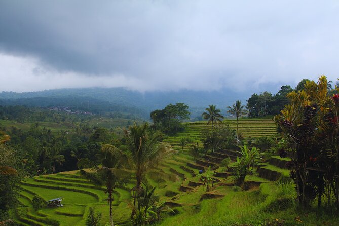 Bali Spiritual: Blessing Ceremony, Pristine Nature and Transfer - The Jungle Temple Purification Ceremony: What You’ll Actually Do