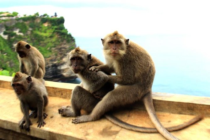 Bali Sunset: Uluwatu Temple, Kecak Dance and Jimbaran - Who this tour suits best (and who should think twice)