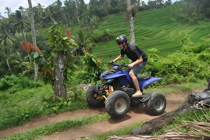 Bali Swing and Quad Bike Packages - Ubud Best Activities - From Seminyak pickup to Bali Pertiwi Adventure: comfort that matters