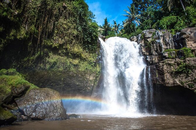 Bali Swing Hot Spring And Waterfall Private Guided Tour - The 10-hour Bali Swing–Hot Spring route: what the timing feels like