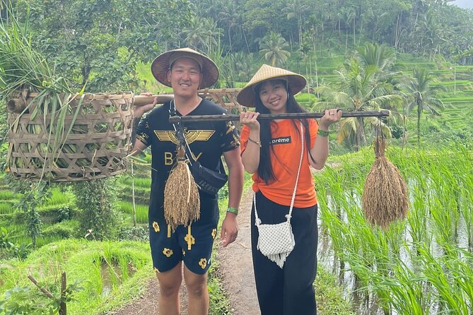 Bali Swing Hot Spring And Waterfall Private Guided Tour - Mt. Batur viewpoint at Kintamani: volcano-and-lake drama on a schedule