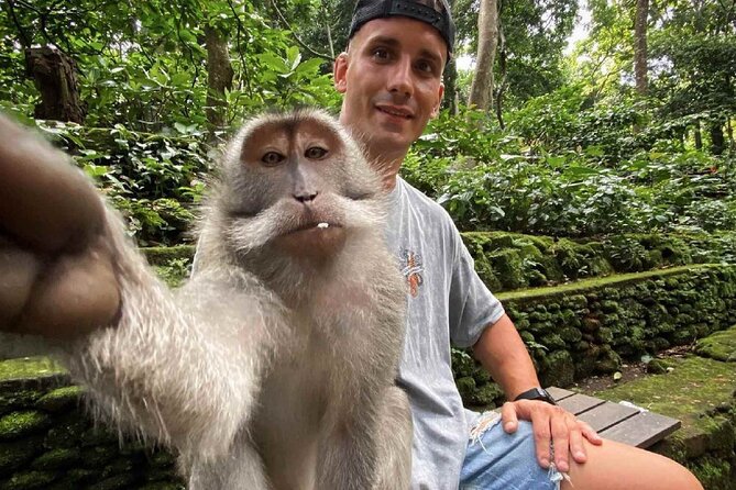 Bali Swing, Monkey Forest and Waterfall Private Tour - Sacred Monkey Forest Sanctuary: temples, trails, and long-tailed macaques