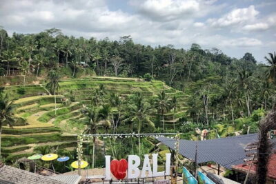 Bali Swing Packages and Kintamani Mt Batur Volcano View - Tegalalang Rice Terrace: rice farming views with a real-world feel