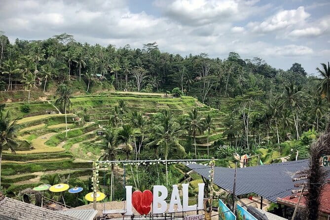 Bali Swing Packages and Kintamani Mt Batur Volcano View - Tegalalang Rice Terrace: rice farming views with a real-world feel