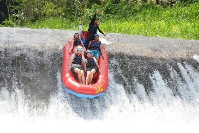 Bali Telaga Waja River Rafting Adventure (Best and Challenging) - Scenery While You Paddle: Rice Fields, Waterfalls, and Forest Scenes