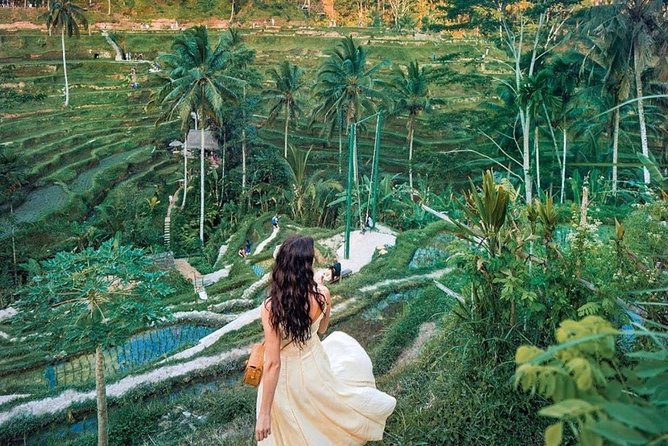 Bali Tour : Best Attractions in Ubud with Rice Terrace - Private transport + Wi‑Fi: the practical comfort upgrade