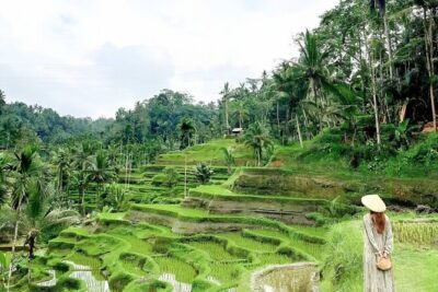 Bali Tour : Best Attractions in Ubud with Rice Terrace - Price and logistics: what $25 per person really means