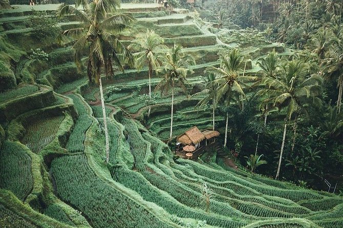 Bali Tour Customized With Local Guide - Getting the most from a local guide like Vw