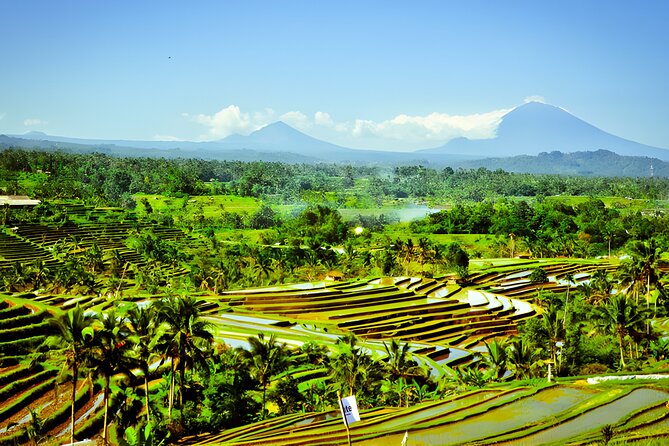 Bali Tour: The Best Way to Explore The Highlight of Bali - Penatahan Hot Springs Kaja: the therapeutic break that balances the day