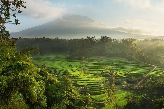 Bali Traditional Silver Class - Making Simple Jewelry Experience - Pickup in Seminyak and Beyond: Plan for the Real Start Point