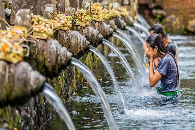 Bali Tribal Private Tour - Experience the best of Ubud, Bali - Sacred Monkey Forest Sanctuary: Temples With Gray Macaques