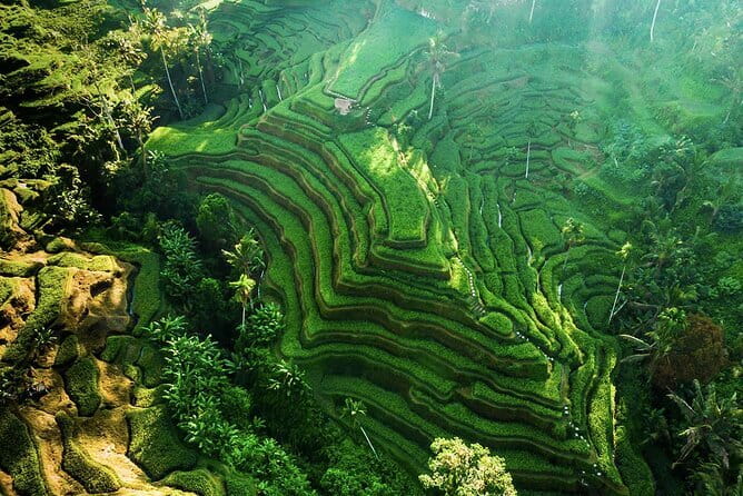 Bali: Ubud (Temple, Spring, Rice Terraces, & Waterfall) - Key things I’d plan around on this Ubud loop