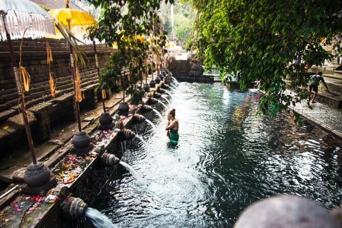 Bali: Ubud (Temple, Spring, Rice Terraces, & Waterfall) - Entering the Ubud mood: a day built for first-timers