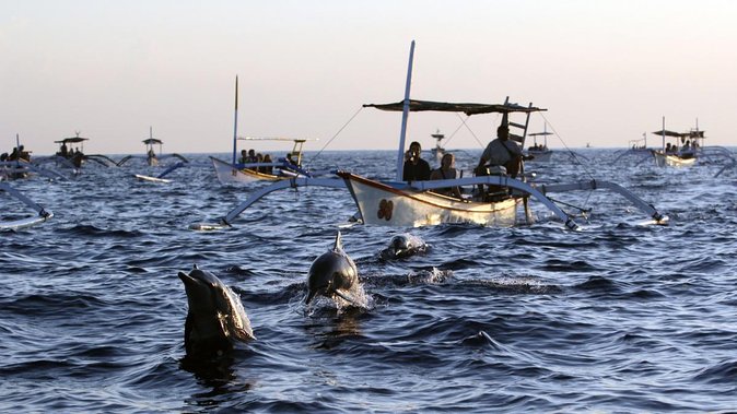 Bali Watching Dolphin at Lovina Beach & aling aling waterfall - Why Lovina at sunrise is the point of the whole trip