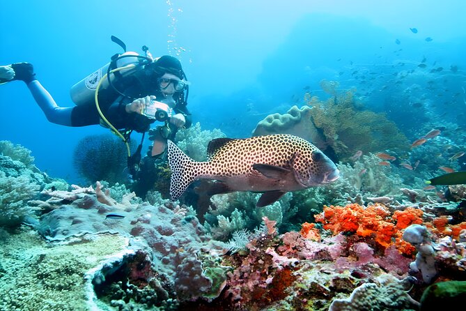 Bali Water Sport Jumbo Packages - Value at $70: what you’re really paying for