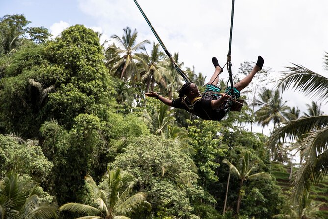 Bali White Water Rafting with Sacred Monkey Forest and Swing - Sangeh Monkey Forest: long-tailed macaques up close