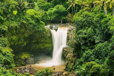 Balinase Cooking Class and Private Ubud Day Tour - Sacred Monkey Forest Sanctuary: the thrill is close-up (and rules matter)