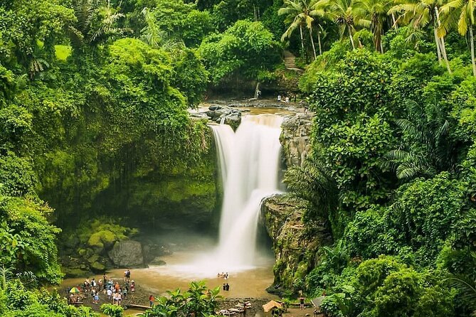 Balinase Cooking Class and Private Ubud Day Tour - Sacred Monkey Forest Sanctuary: the thrill is close-up (and rules matter)