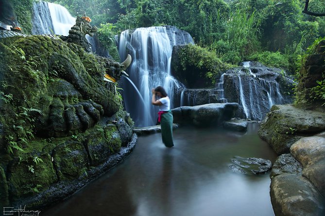 Balinese Village Experience - Lunch at a scenic warung: typical food in a real setting