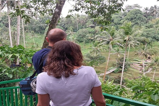 Banyumala Waterfall, Jatiluwih, Ulun Danu and Tanah Lot tours - The Driver-Guide Factor: Comfort and Context Go Together