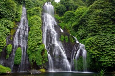Banyumala Waterfall Tour - Stop 1: Banyumala Twin Waterfalls walk + cold-water reward