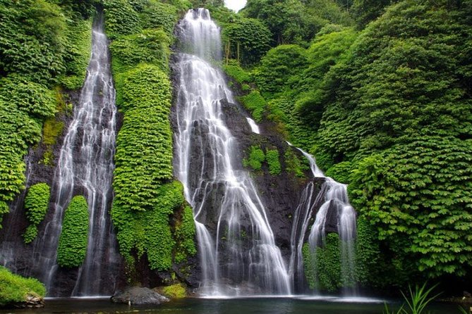 Banyumala Waterfall Tour - Stop 1: Banyumala Twin Waterfalls walk + cold-water reward