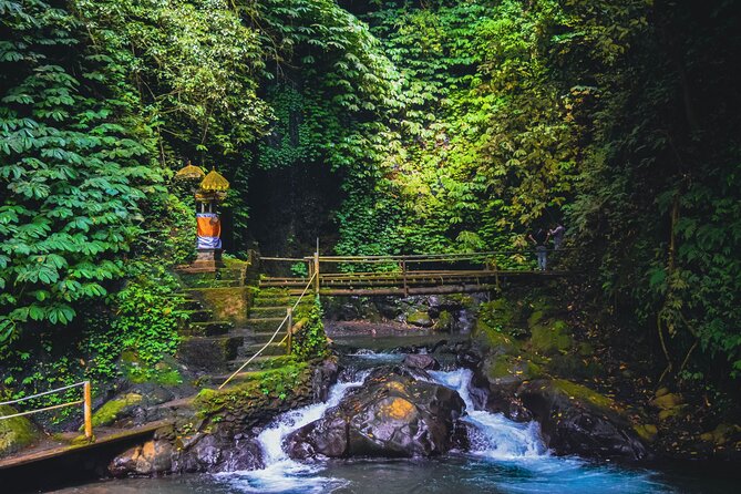 Bedugul and Singaraja Tour - Lovina and Singaraja: coast time plus a look at Bali’s older center