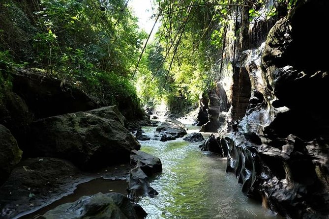 Beji Guwang Hidden Canyon Ticket Admission All Inclusive - Seminyak Pickup, Private-Group Comfort, and the Best Time Window